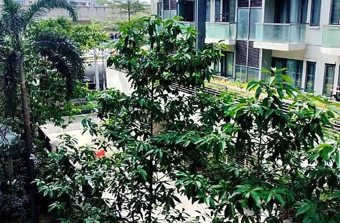 Rqui Condotel Near Airport & World 3*